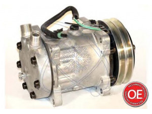 ELECTRO AUTO 20A8163 kompresorius, oro kondicionierius
11007314, 110073145, 11007857, 110589974