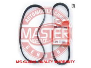 MASTER-SPORT 5PK675-PCS-MS V formos rumbuoti diržai 
 Techninės priežiūros dalys -> Techninės priežiūros intervalai
60558595, 60558595, 1017593, 96FF6C301CD