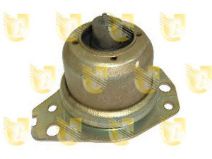 UNIGOM 395281 variklio montavimas
46413394, 46413394