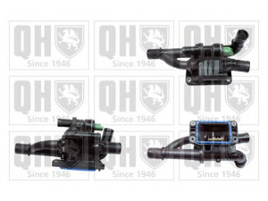 QUINTON HAZELL QTH688K termostatas, aušinimo skystis 
 Aušinimo sistema -> Termostatas/tarpiklis -> Thermostat
1336 AF, 9660660380, 1675627, 1683554