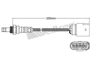 WALKER PRODUCTS 250-24966 lambda jutiklis 
 Variklis -> Variklio elektra
03C 906 262, 03D 906 265 A, 03C 906 262