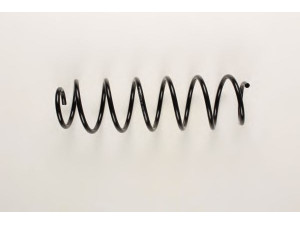BILSTEIN 36-198320 spyruoklė 
 Pakaba -> Spyruoklės
77 00 416 117, 82 00 271 939