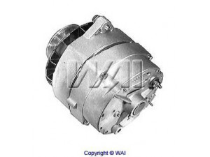 WAIglobal 48952-DP kintamosios srovės generatorius
3675100RX, 0R5200, 6T1194, 9L6298