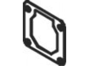 DINEX 39802 tarpiklis, išleidimo kolektorius
894328354