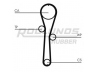 ROULUNDS RUBBER RR1093K1 paskirstymo diržo komplektas 
 Techninės priežiūros dalys -> Papildomas remontas
7701473001, 7701476745