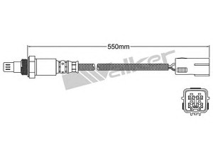 WALKER PRODUCTS 250-54031 lambda jutiklis 
 Variklis -> Variklio elektra
N3H1 18 8G1B, N3H3 18 8G1A