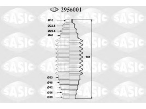 SASIC 2956001 gofruotoji membrana, vairavimas