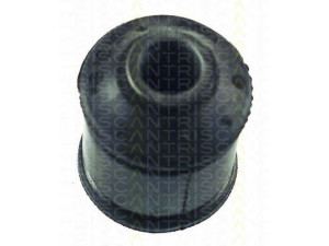 TRISCAN 8500 65806 valdymo svirties/išilginių svirčių įvorė 
 Ašies montavimas/vairavimo mechanizmas/ratai -> Valdymo svirtis/pasukamosios svirties sujungimas -> Montavimas/sutvirtinimas
8935208