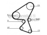 CONTITECH CT1092K1 paskirstymo diržo komplektas 
 Techninės priežiūros dalys -> Papildomas remontas
0831P2, 0831V4, 1229768, 1373306