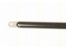 TRISCAN 8710 9009 dujinė spyruoklė, bagažinė