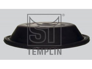 ST-TEMPLIN 02.130.7117.210 membrana, membranins cilindras
000 431 31 28