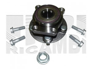CALIBER RC2219 rato guolio komplektas 
 Ašies montavimas/vairavimo mechanizmas/ratai -> Rato stebulė/montavimas -> Rato guolis