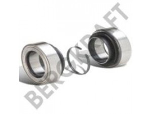 BERGKRAFT BK7700828 rato guolis
7420792439, 7421036050, 1075408
