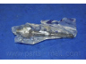 PARTS-MALL PXCUB-030L vidinė skersinė vairo trauklė
577322J000