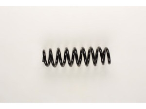 BILSTEIN 36-161324 spyruoklė 
 Pakaba -> Spyruoklės
33 53 6 767 340