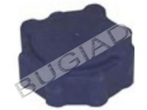 BUGIAD BSP21157 dangtelis, radiatorius 
 Aušinimo sistema -> Radiatorius/alyvos aušintuvas -> Išsiplėtimo bakelis, variklio aušinimo skystis
6U0 121 321 A