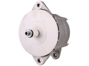 PowerMax 89214150 kintamosios srovės generatorius
125849A1R