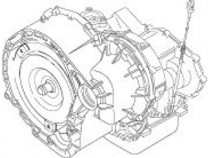 ZF 1050 000 061 automatinė pavarų dėžė