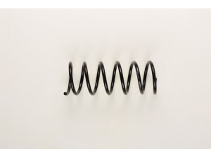 BILSTEIN 36-160570 spyruoklė 
 Pakaba -> Spyruoklės
7607978