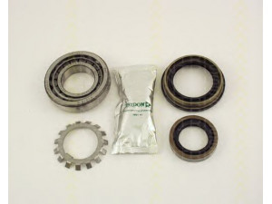 TRISCAN 8530 14211 rato guolio komplektas 
 Ašies montavimas/vairavimo mechanizmas/ratai -> Rato stebulė/montavimas -> Rato guolis
40210-85000