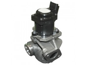 HOFFER 7518086R ERG vožtuvas 
 Kuro mišinio formavimas -> Išmetimo emisijos valdymas -> Išmetamųjų dujų recirkuliacija -> EGR vožtuvas/įsiurbimo kolektorius
161859, 1618NR, 9649358780, 9660276280