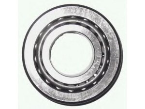 ZF Parts 3032 401 guolis
8396 1655