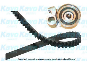 KAVO PARTS DKT-9019 paskirstymo diržo komplektas 
 Techninės priežiūros dalys -> Papildomas remontas