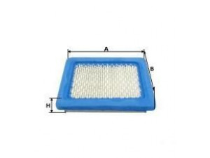 UNIFLUX FILTERS XA598 oro filtras
