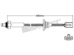 WALKER PRODUCTS 250-24535 lambda jutiklis 
 Variklis -> Variklio elektra
30611510