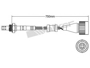 WALKER PRODUCTS 250-24613 lambda jutiklis 
 Variklis -> Variklio elektra
11 78 1 721 125, 11 78 1 730 007