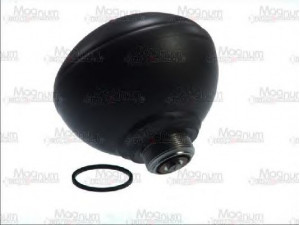 Magnum Technology AS0108MT pakabos sfera, pneumatinė pakaba 
 Pakaba -> Važiavimo aukščio kontrolė/hidraulinė pakaba
5271 H6