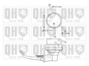 QUINTON HAZELL QFP227 kuro siurblys 
 Degalų tiekimo sistema -> Kuro siurblys/dalys -> Kuro siurblys
23100 19195