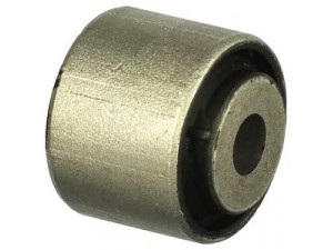 DELPHI TD1105W valdymo svirties/išilginių svirčių įvorė 
 Ašies montavimas/vairavimo mechanizmas/ratai -> Valdymo svirtis/pasukamosios svirties sujungimas -> Montavimas/sutvirtinimas