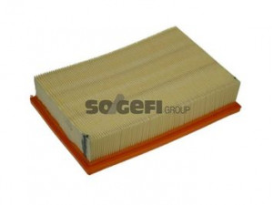 PURFLUX A1189 oro filtras 
 Filtrai -> Oro filtras
1232496, 1486710, 3M519601AA, VP3M5U9601AA