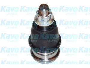 KAVO PARTS SBJ-2014 atramos/vairo trauklė 
 Ašies montavimas/vairavimo mechanizmas/ratai -> Sujungimai -> Atramos/vairo trauklė
51220SYY010, 51220TG0T02, 51220TK6A01