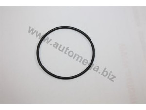 AUTOMEGA 1012120579 tarpiklis
1212579, 1212579, 1212579, 90167515