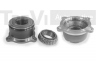 TREVI AUTOMOTIVE WB2228 rato guolio komplektas
43210EA200