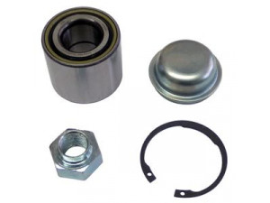 DELPHI BK1667 rato guolio komplektas 
 Ašies montavimas/vairavimo mechanizmas/ratai -> Rato stebulė/montavimas -> Rato guolis
46860-76G01
