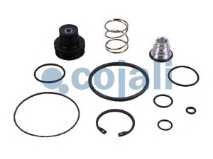 COJALI 6014010 remonto komplektas, greitinimo vožtuvas
