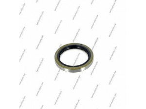 NPS T471A00B rato guolio komplektas
9031142055
