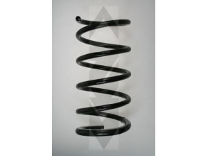 SPIDAN 56584 spyruoklė 
 Pakaba -> Spyruoklės
307488379, 9461493