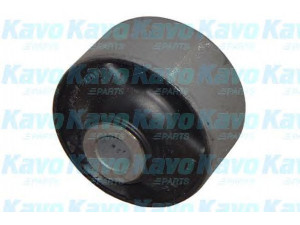 KAVO PARTS SCR-4043 valdymo svirties/išilginių svirčių įvorė 
 Ašies montavimas/vairavimo mechanizmas/ratai -> Valdymo svirtis/pasukamosios svirties sujungimas -> Montavimas/sutvirtinimas
545842H000