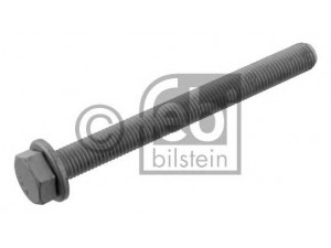 FEBI BILSTEIN 36678 varžtas
31 10 6 769 441, 31 12 1 093 465