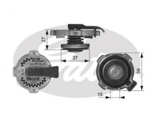 GATES RC10381 radiatoriaus dangtelis