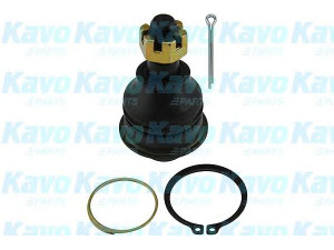 KAVO PARTS SBJ-6525 atramos/vairo trauklė 
 Ašies montavimas/vairavimo mechanizmas/ratai -> Sujungimai -> Atramos/vairo trauklė
4016001P00, 4016001P81, 4016021P00