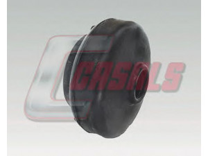 CASALS 6268 remonto komplektas, pasukamojo kakliuko kaištis
11060976, 15540921, 4540023, 454023