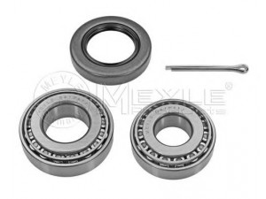 MEYLE 29-14 750 0001 rato guolio komplektas 
 Ašies montavimas/vairavimo mechanizmas/ratai -> Rato stebulė/montavimas -> Rato guolis
96316634, 96316635, 96316634, 96316635