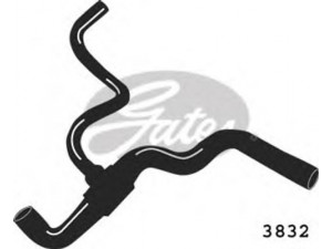 GATES 3832 radiatoriaus žarna 
 Aušinimo sistema -> Žarnelės/vamzdeliai/sujungimai -> Radiatoriaus žarnos
7700829987