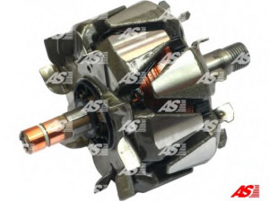 AS-PL AR3019 rotorius, kintamosios srovės generatorius