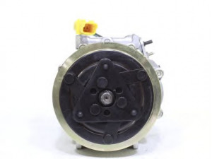 ALANKO 550806 kompresorius, oro kondicionierius 
 Oro kondicionavimas -> Kompresorius/dalys
1042334460, 6453PQ, 6453RG, 9648238480